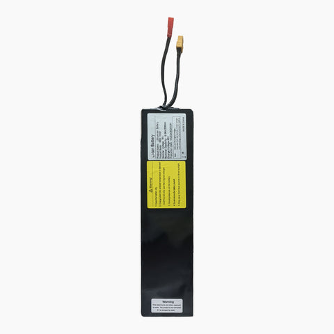 6.6 Ah Li-Ion Battery for M10 Lite