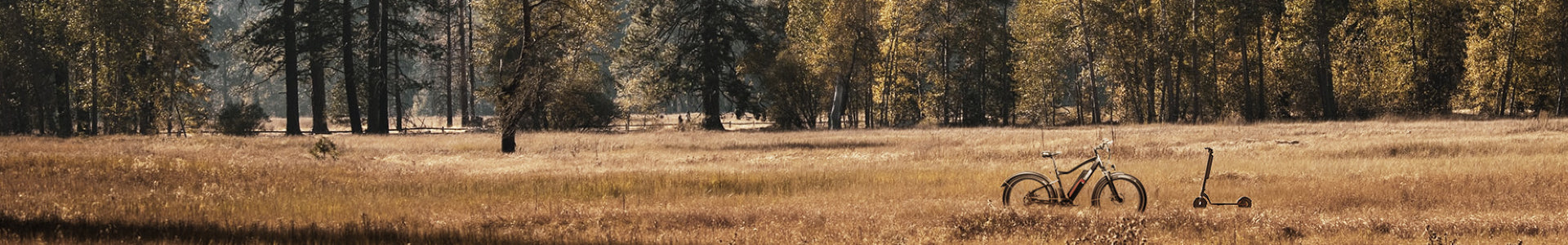 FAQ about electric scooter